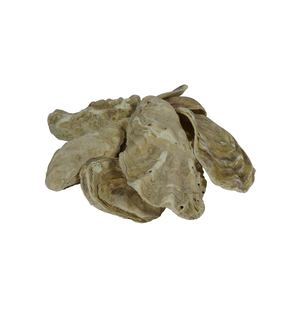 Coquilles d’huîtres 5 kg sac — Aquitechnics — vue 2