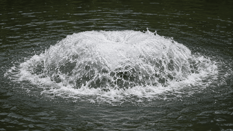 Aérateur de surface - Aquitechnics - Haute Performance pour étang naturel - Émulseur pour étang