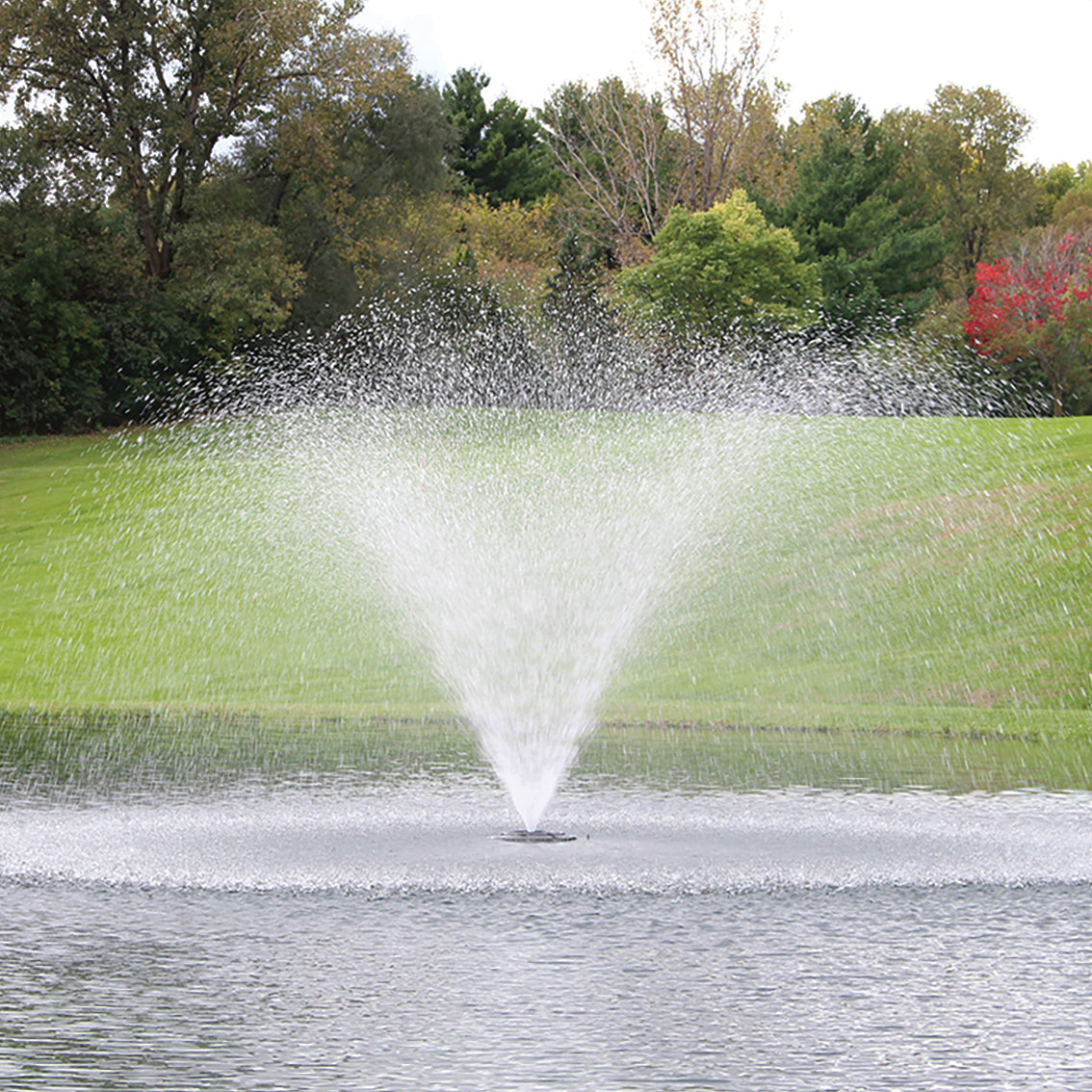 Fontaine flottante Kasco, jet Willow
