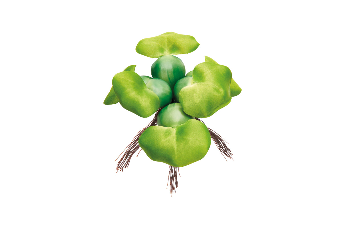 Pontec PondoHyacinth — référence Oase 77938