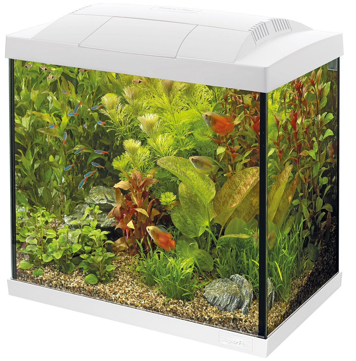 SuperFish START 30 25 L blanc — aquarium