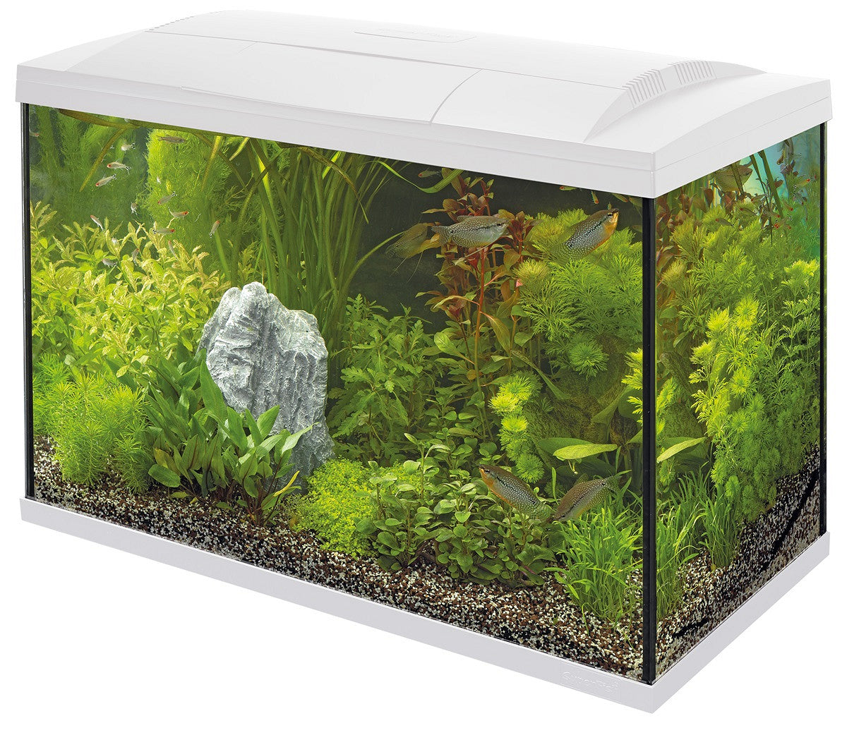 SuperFish START 100 90 L blanc — aquarium