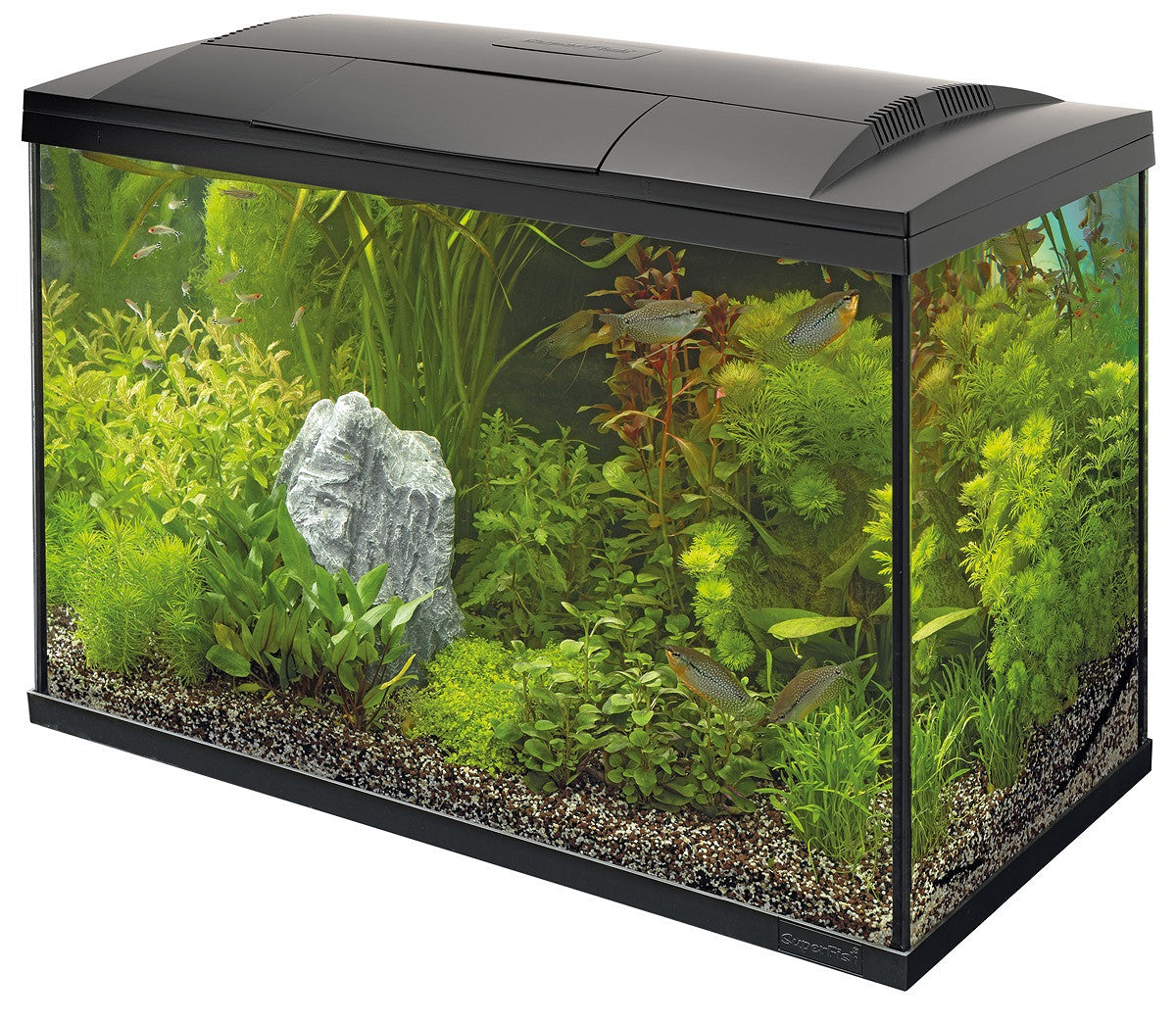 SuperFish START 150 146 L noir — aquarium