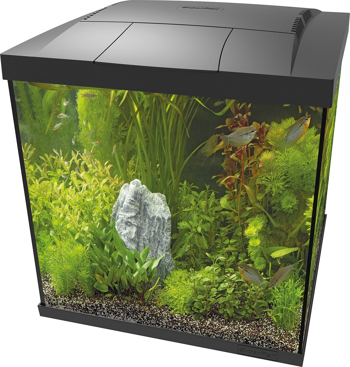 SuperFish START 60 Qube 54 L noir — aquarium
