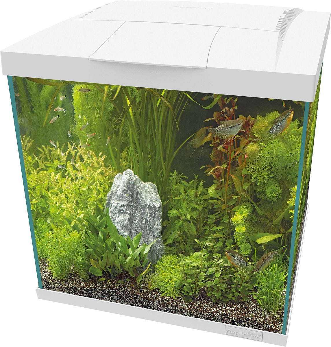SuperFish START 60 Qube 54 L blanc — aquarium