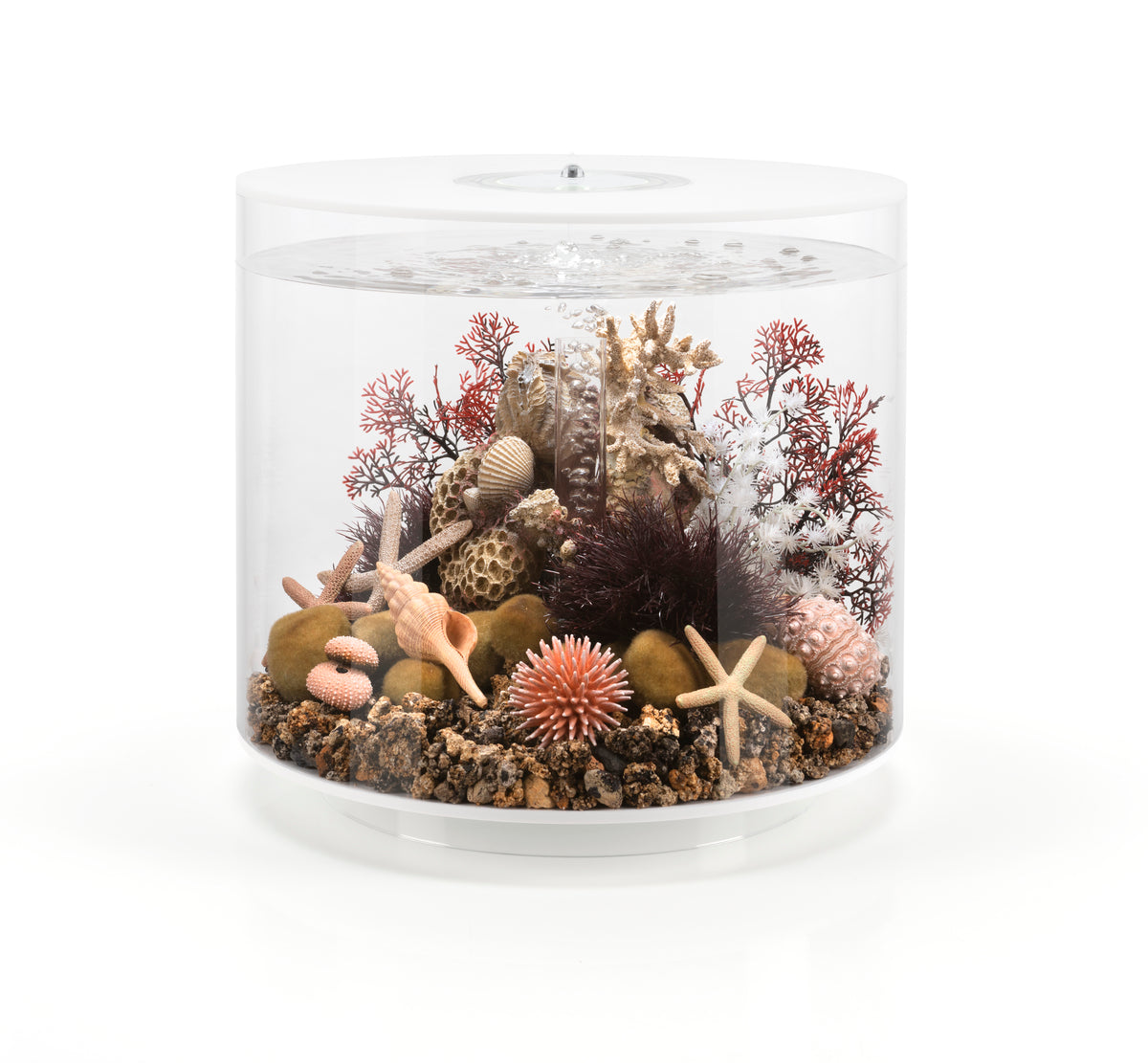 Aquarium biOrb TUBE 35 LED blanc — biOrb TUBE 35 LED wit