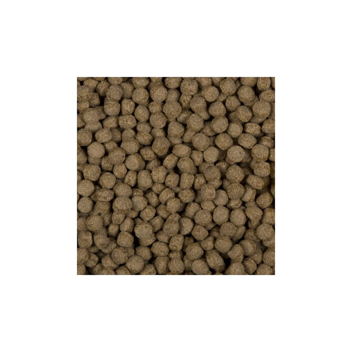 Nourriture pour poissons All Season Wheat germs 6 mm 3 l - SaniKoi