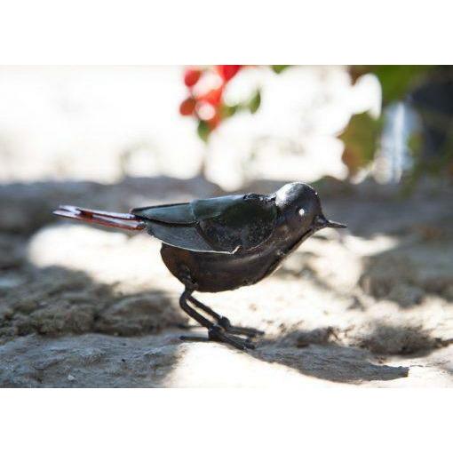 Arrosoir & Persil Rouge queue - Oiseau décoratif en métal recyclé 11014