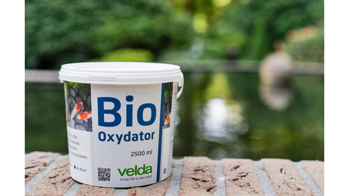 Bio-Oxydator 1000 ml - Velda