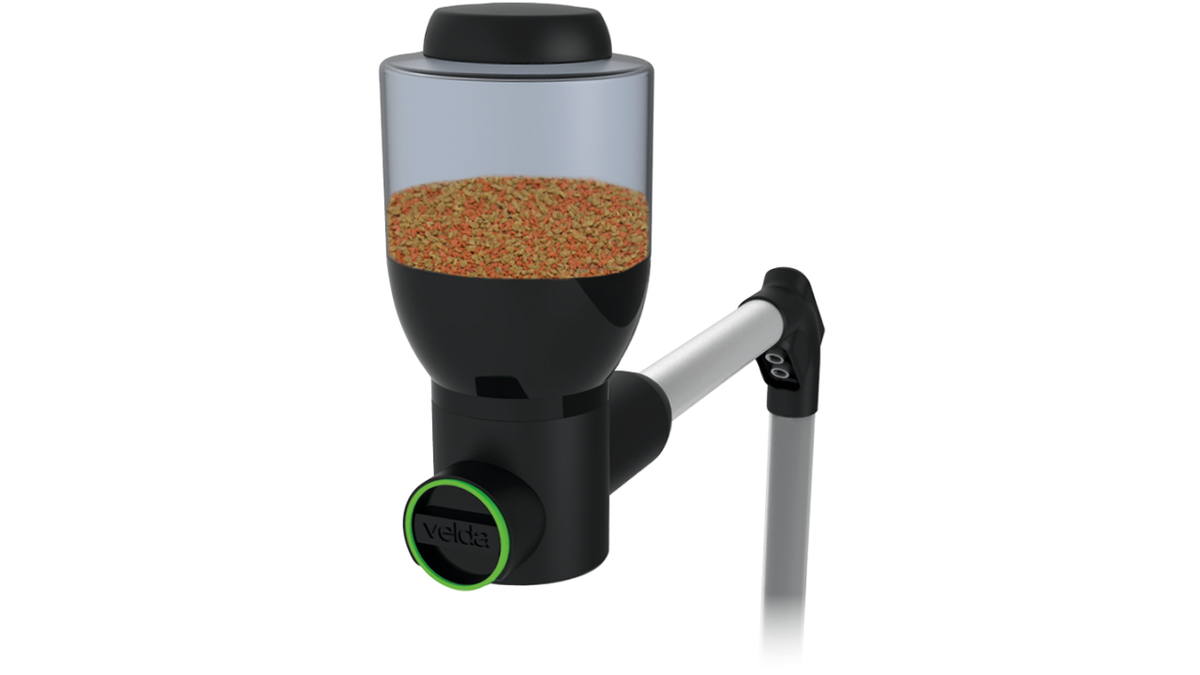 Fish Feeder Easy - Distributeur automatique pour poissons - Velda