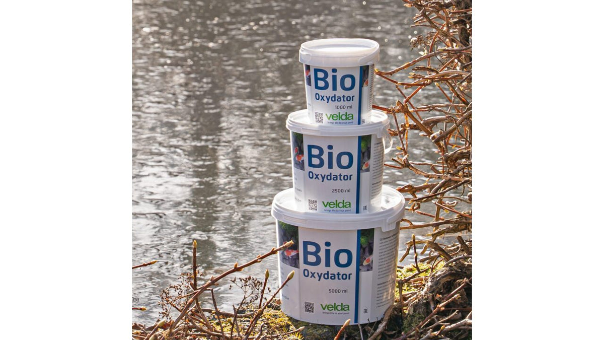 Bio-Oxydator 5000 ml - Velda