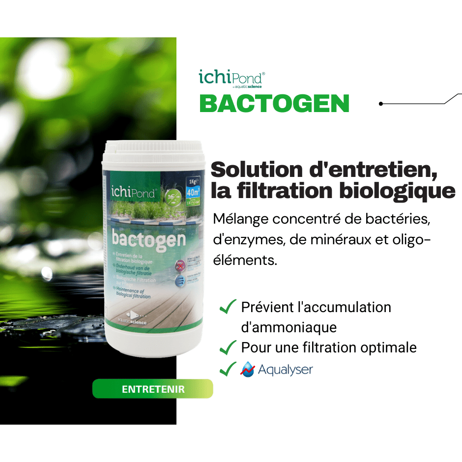 Bactogen 200 m³ – bactéries d'entretien de la filtration
