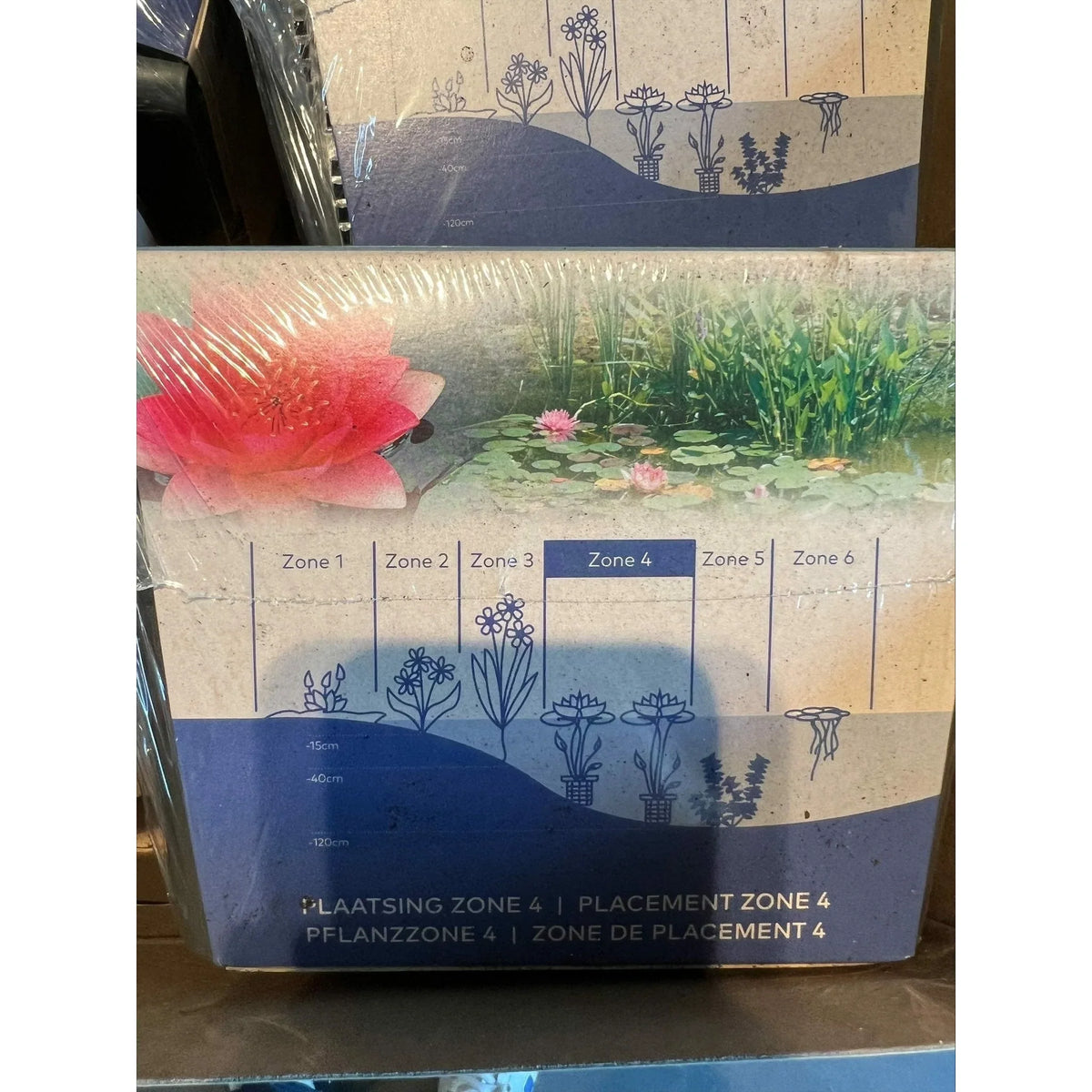 Aquipond Nénuphar rose en kit sec – Nymphaea prêt à planter (panier inclus)