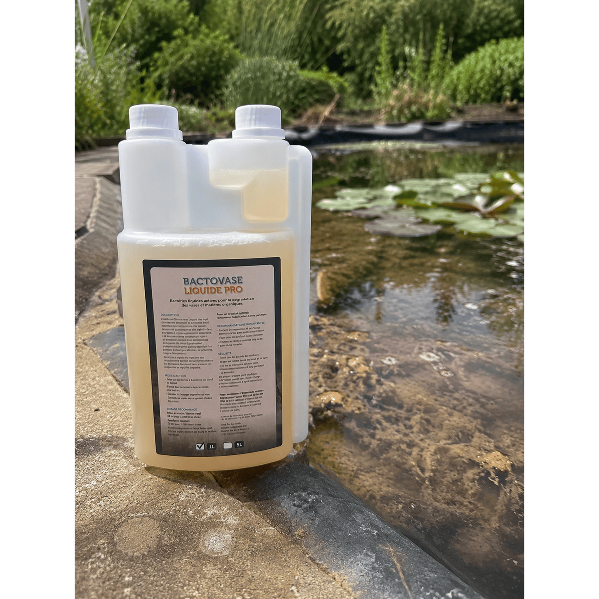 Aquipond Bactovase Liquide 1 L – Bactéries contre la vase organique du bassin