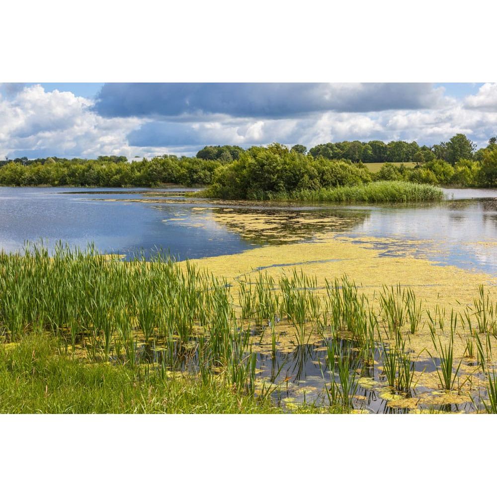 Aquipond by OASE CyanoClear 25 kg – Oxygène actif contre les cyanobactéries, traite jusqu'à 333 m²