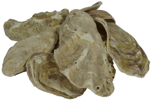 Coquilles d’huîtres BigBag 2m3 = 1000 kg — Aquitechnics — vue 1