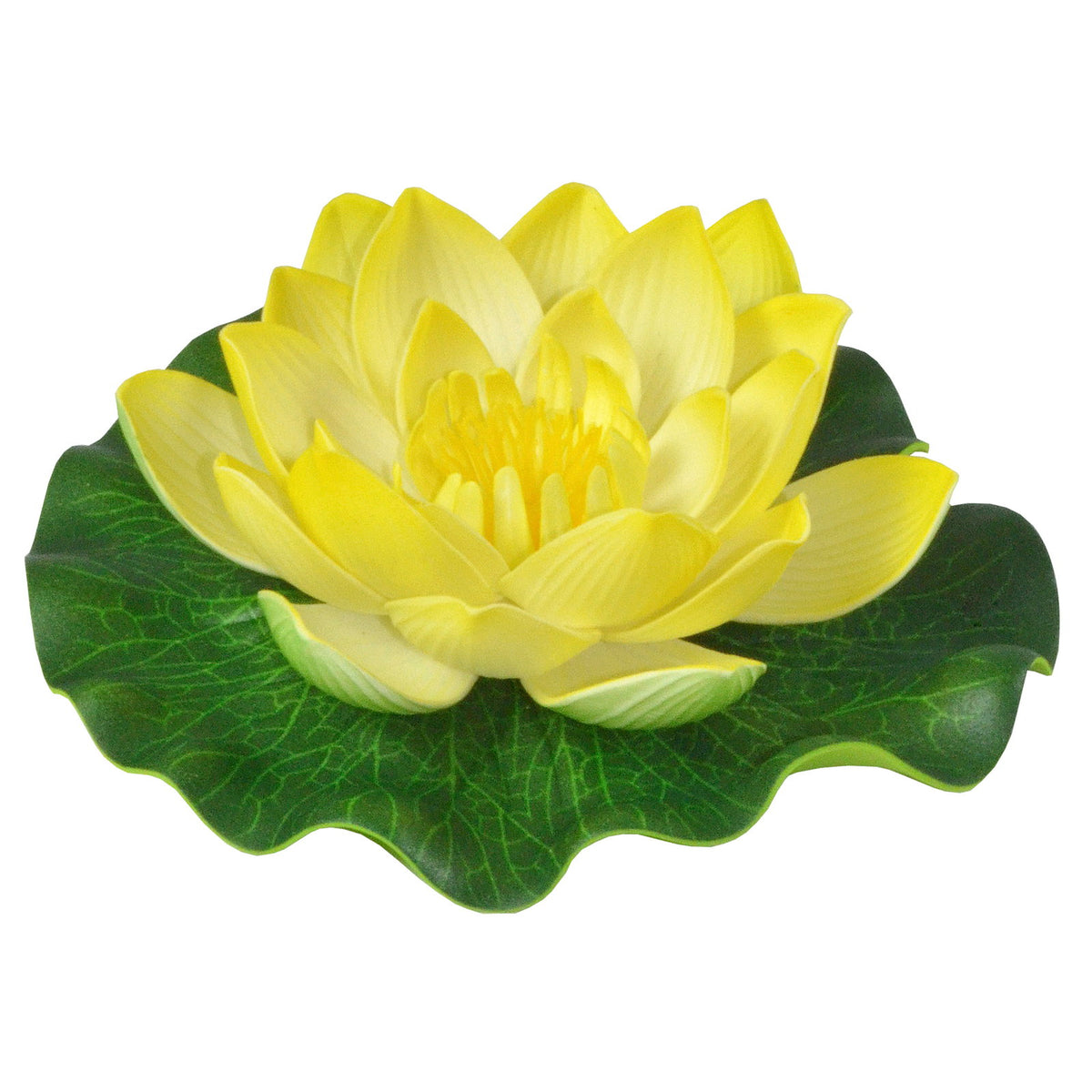 Nénuphar décoratif jaune Heissner – petit modèle