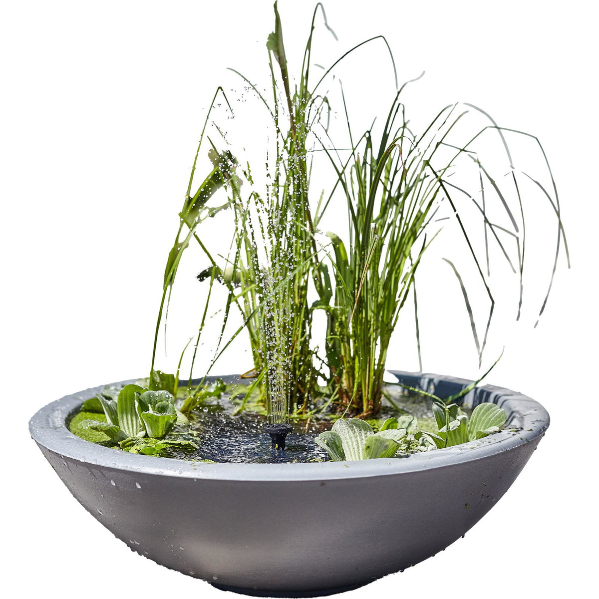 Mini-bassin solaire LOTUSGARDEN Heissner avec éclairage – 58 × 58 × 19 cm