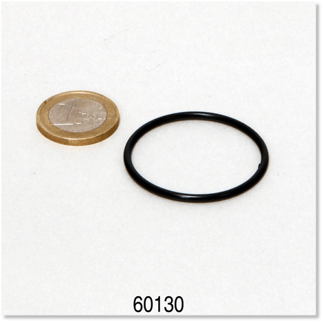 JBL Without Descri JBL CP e15/1900/1,2 Joint pour couvercle du rotor 4014162601315 6013100