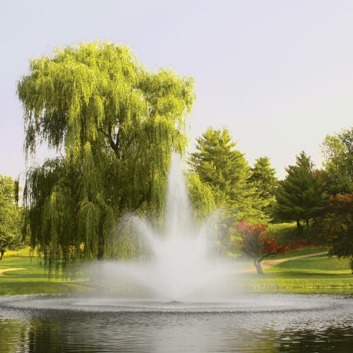 Fontaine flottante Kasco 5 CV, jet Balsam