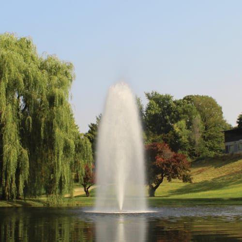 Fontaine flottante Kasco 5 CV, jet Birch