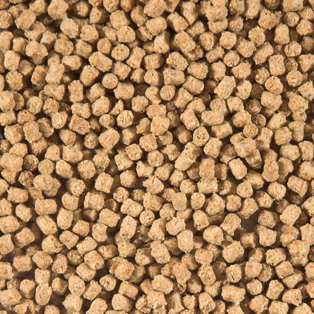 Nourriture pour poissons Winter Wheat Germs Food 3 mm 3 l - SaniKoi