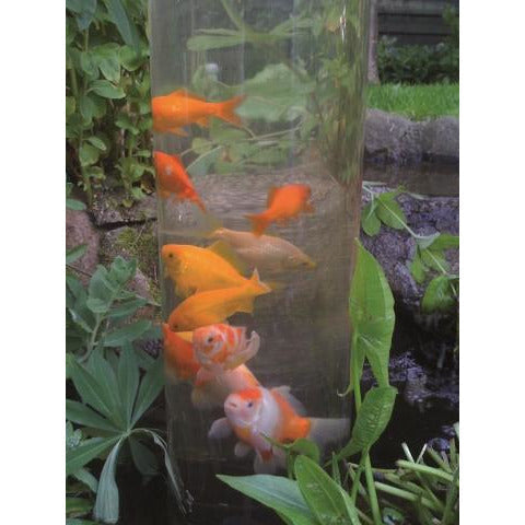 Ubbink Cadeaux Tour à poissons - FISHTOWER "66" EN ACRYLIQUE DE H50 X 4MM 8711465721615 1372161