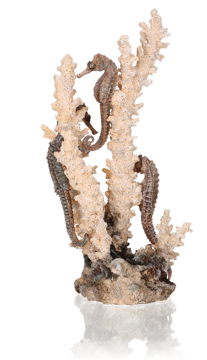Ornement hippocampes biOrb teinte naturelle M — biOrb zeepaardjes naturel M