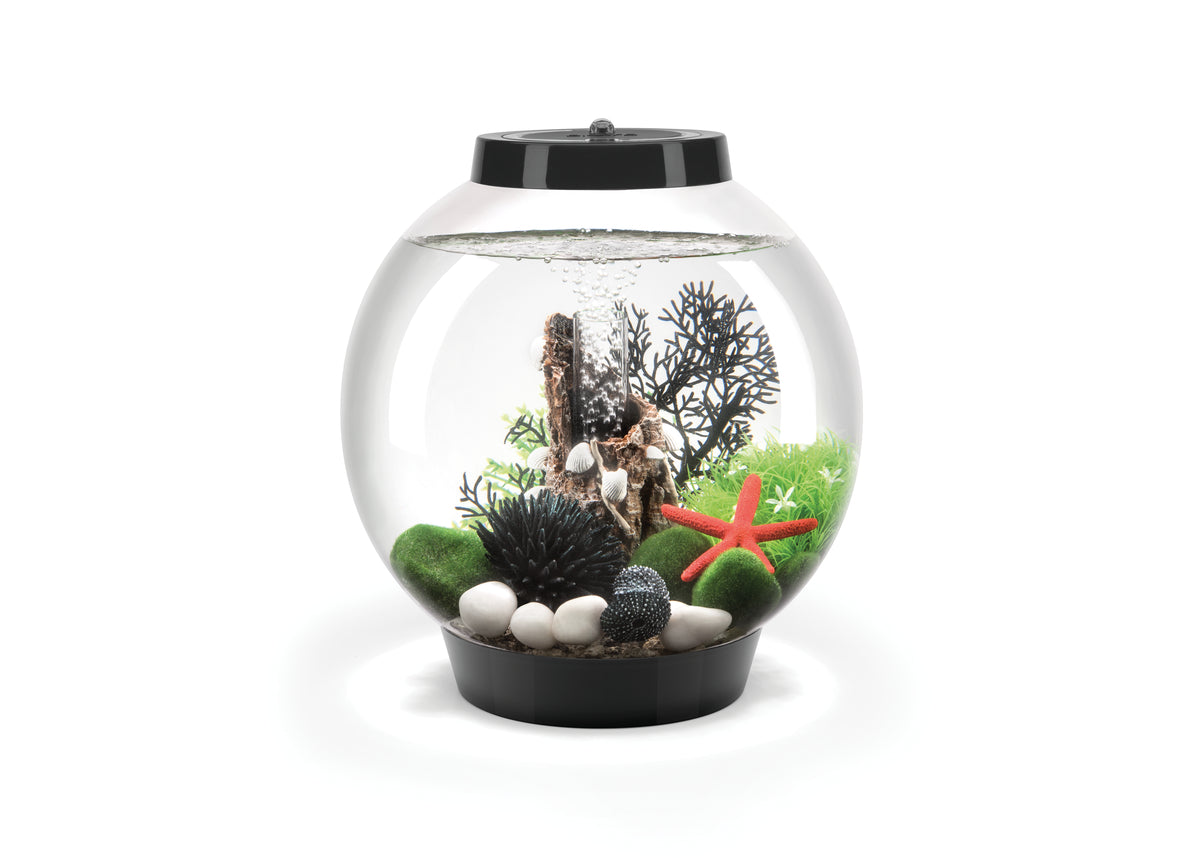 Aquarium biOrb CLASSIC 15 LED noir — biOrb CLASSIC 15 LED zwart