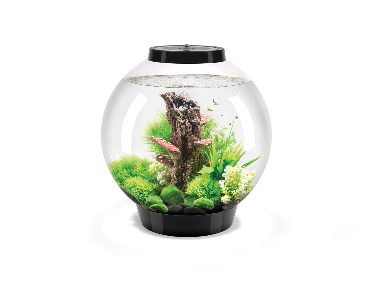 Aquarium biOrb CLASSIC 30 MCR noir — biOrb CLASSIC 30 MCR zwart