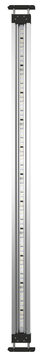 Kit d’éclairage MotionControl LED 120 — MotionControl LED Set 120