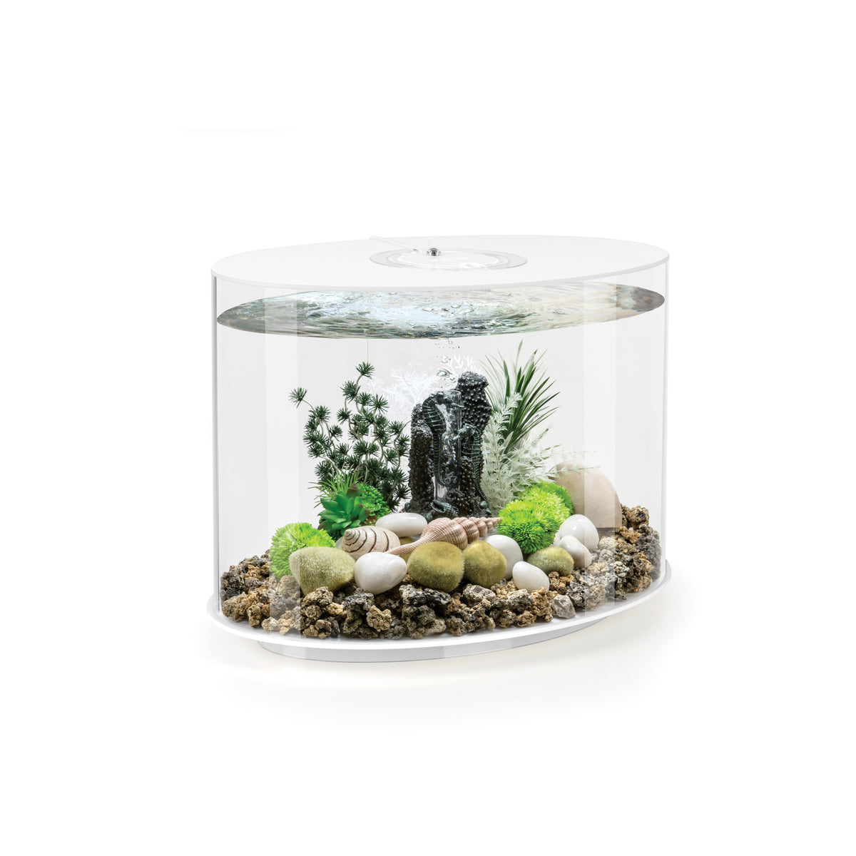 Aquarium biOrb LOOP 30 LED blanc — biOrb LOOP 30 LED wit