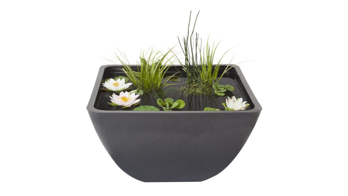 Bassin décoratif Fountain Pond carré 55x55x32 cm - Velda
