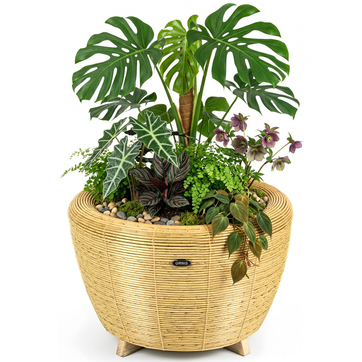 Jardinière Orbis Planter naturel - Velda
