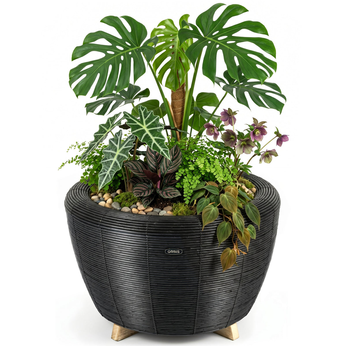 Jardinière Orbis Planter anthracite - Velda