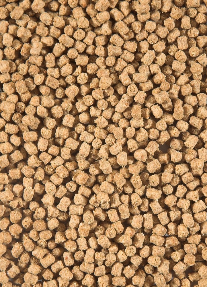Nourriture pour poissons Winter Fish Food 3000 ml - Velda