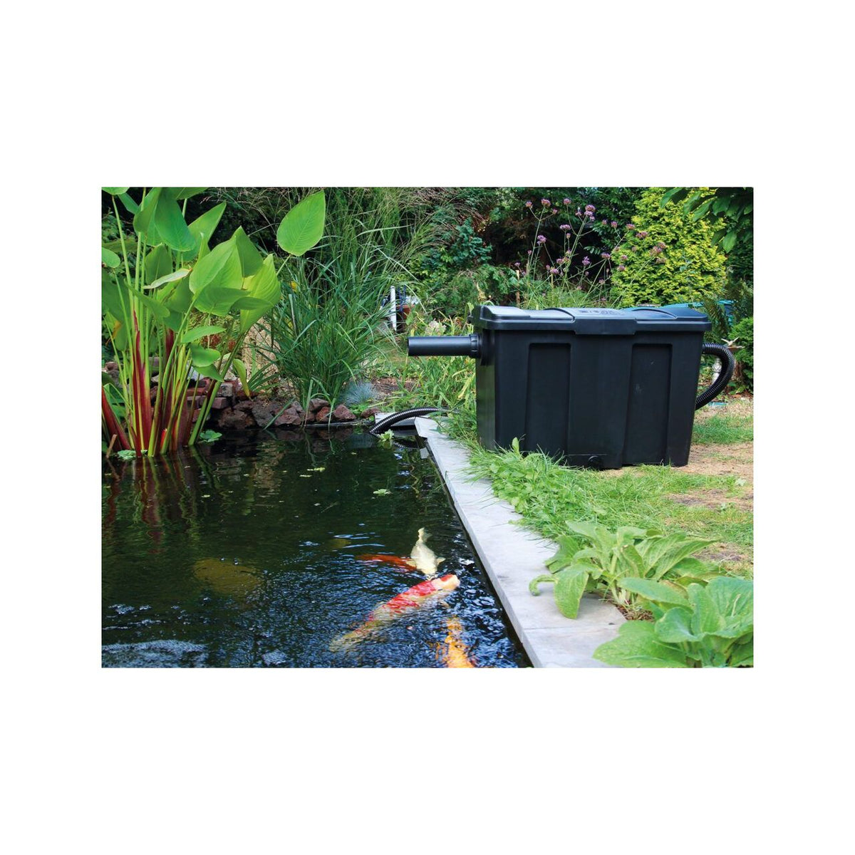 Giant Biofill XL Set 60000 - Kit de filtration - Velda