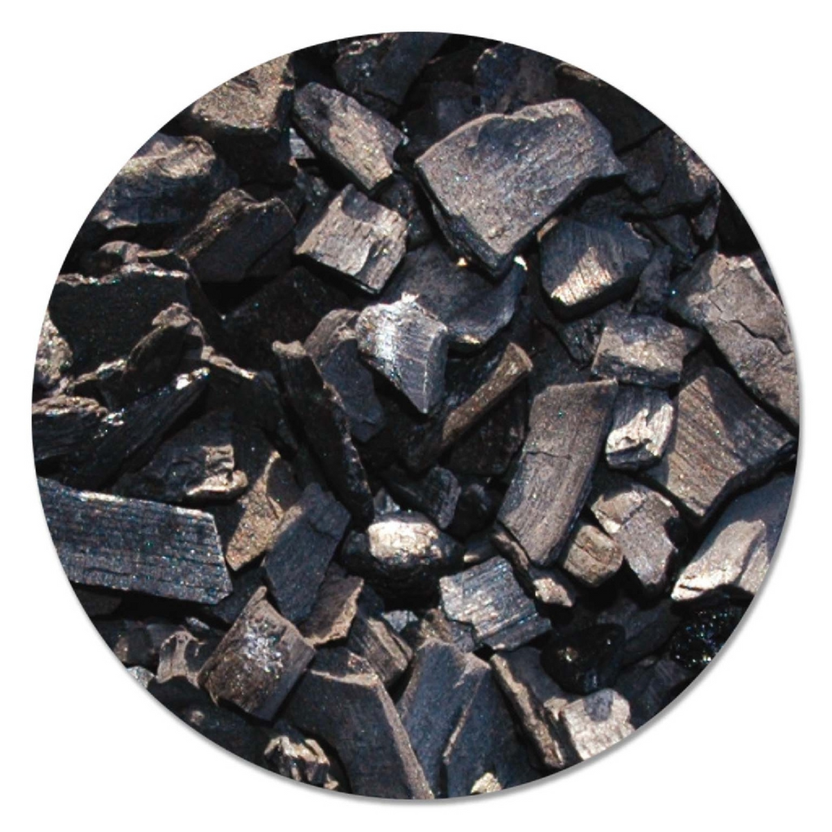 Filter Carbon Active - Velda
