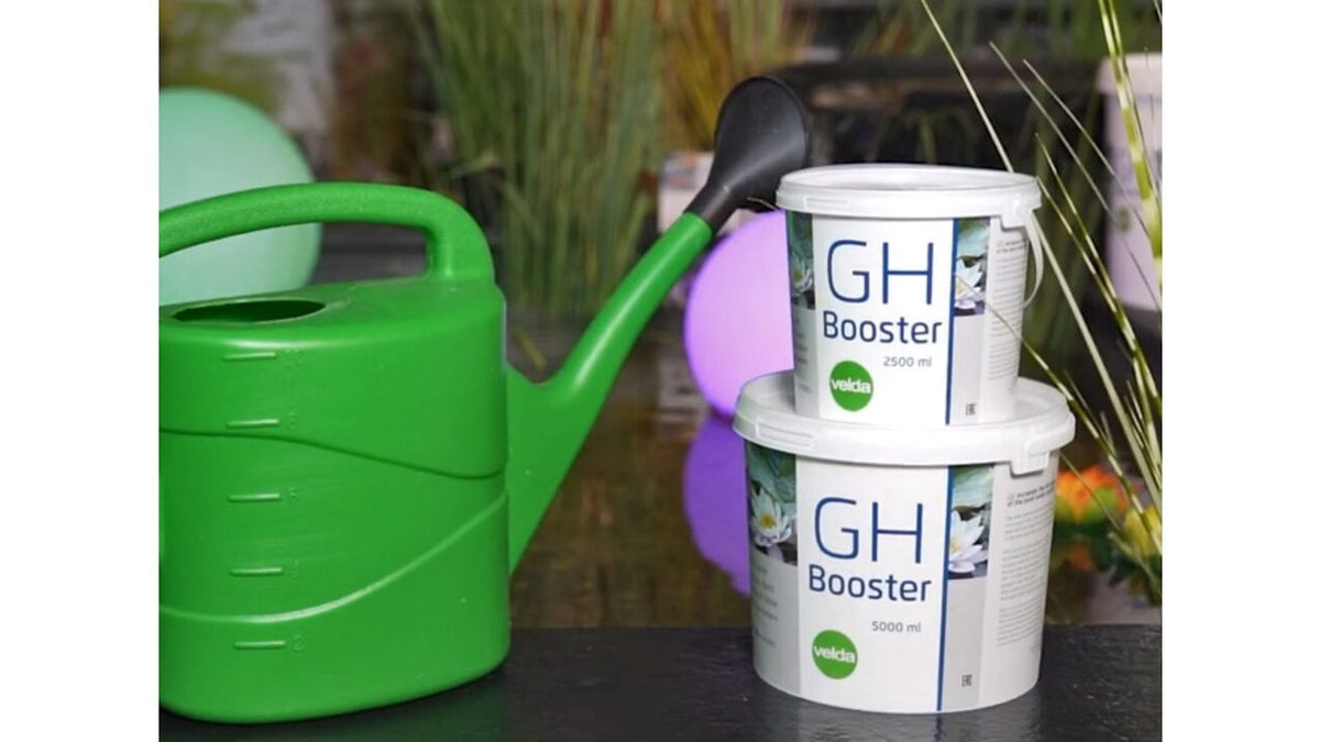 GH Booster 2,5 L - Velda