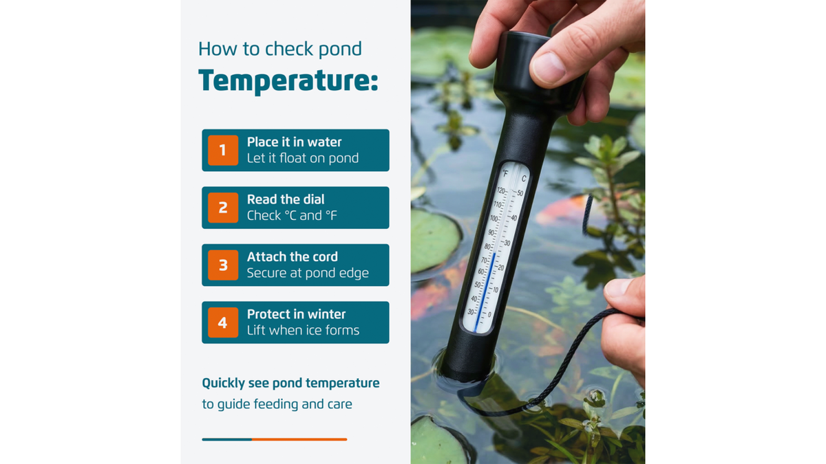 Thermomètre de bassin - Velda