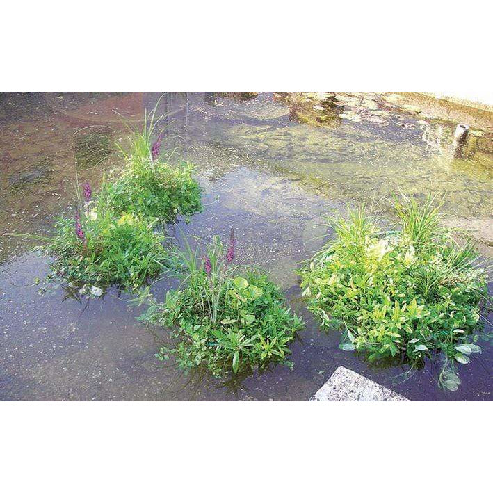 Aquigarden Accessoires pour plantes Île flottante pour plantes aquatiques en demi-lune 8717605078922 SG383