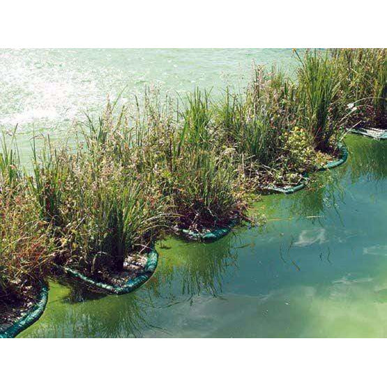 Aquigarden Accessoires pour plantes Île flottante pour plantes aquatiques en demi-lune 8717605078922 SG383