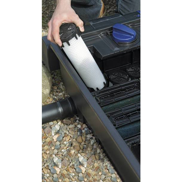 Oase Living Water Produits pour bassin AquaActiv PhosLess - Protection biologique contre les algues - Oase 4010052369815 36981