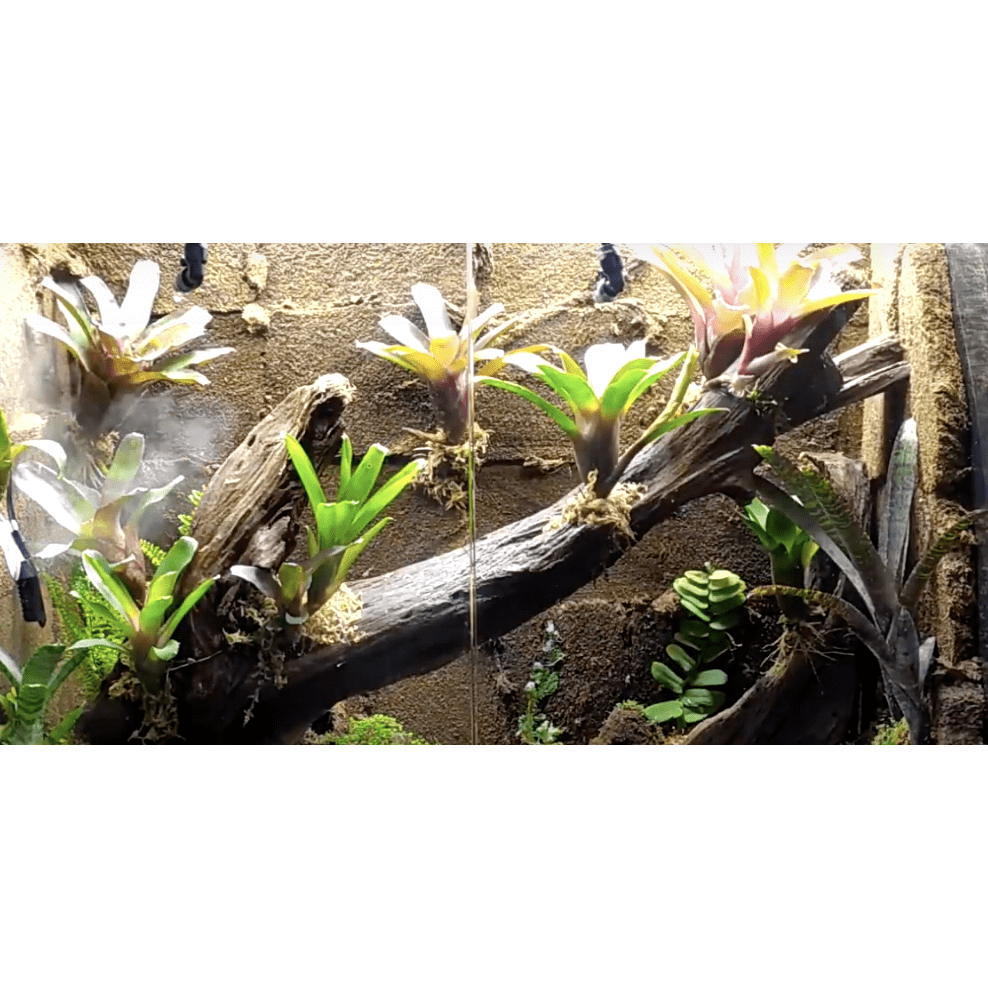 Velda Plantes BLOCS DE TOURBE POUR DES BORDS DE BASSIN NATUREL (BTS) 8711921246805 122323