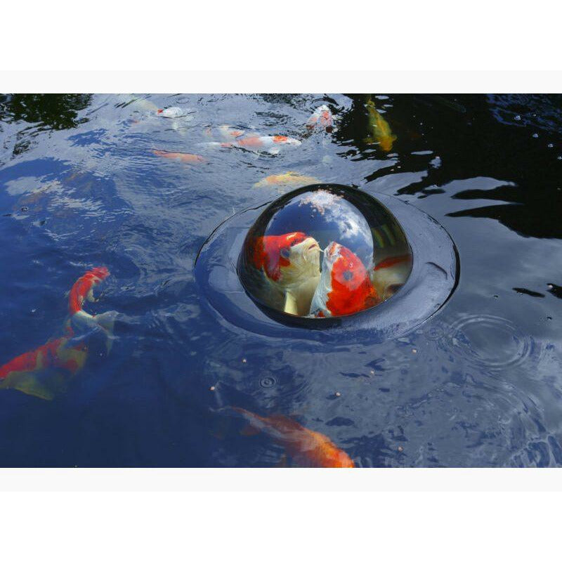 Velda Décoration Floating Fish Dome M Ø56 x 24CM - Velda 8711921243217 123503